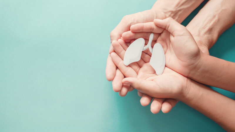 Adult,And,Child,Hands,Holding,Lung,,World,Tuberculosis,Day,,World