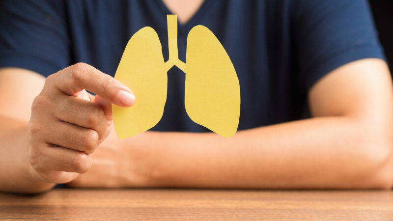 Close-up of hand a man holding lungs symbol while sitting in the hospital. World tuberculosis day, world no tobacco day, lung cancer, pulmonary hypertension, pneumonia, COVID-19. Close-up photo