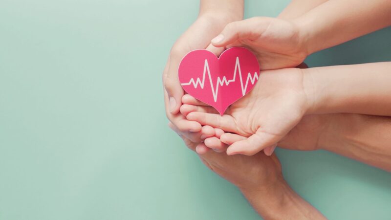 Adult,And,Children,Hands,Holding,Red,Heart,With,Cardiogram,,Health
